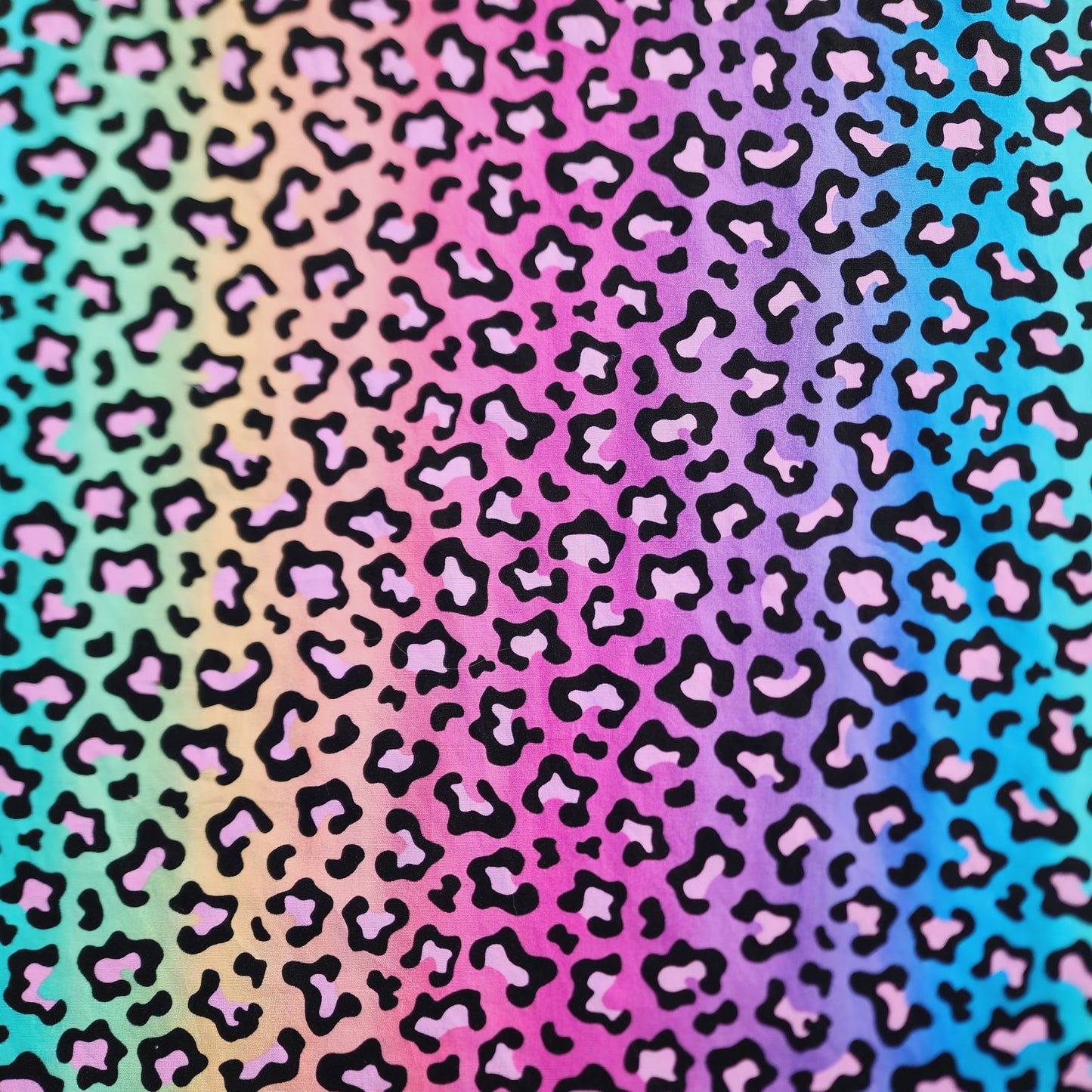 Rainbow Leopard