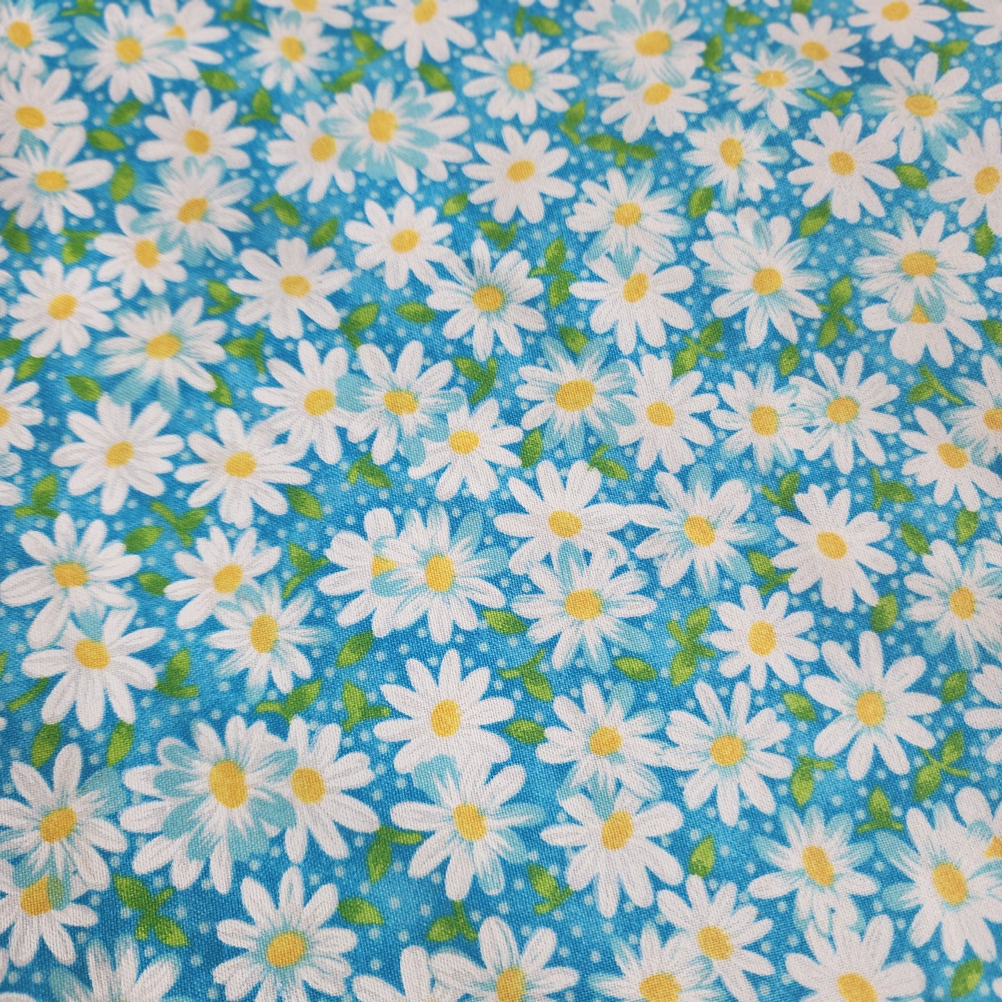 Daisy Dream Aqua