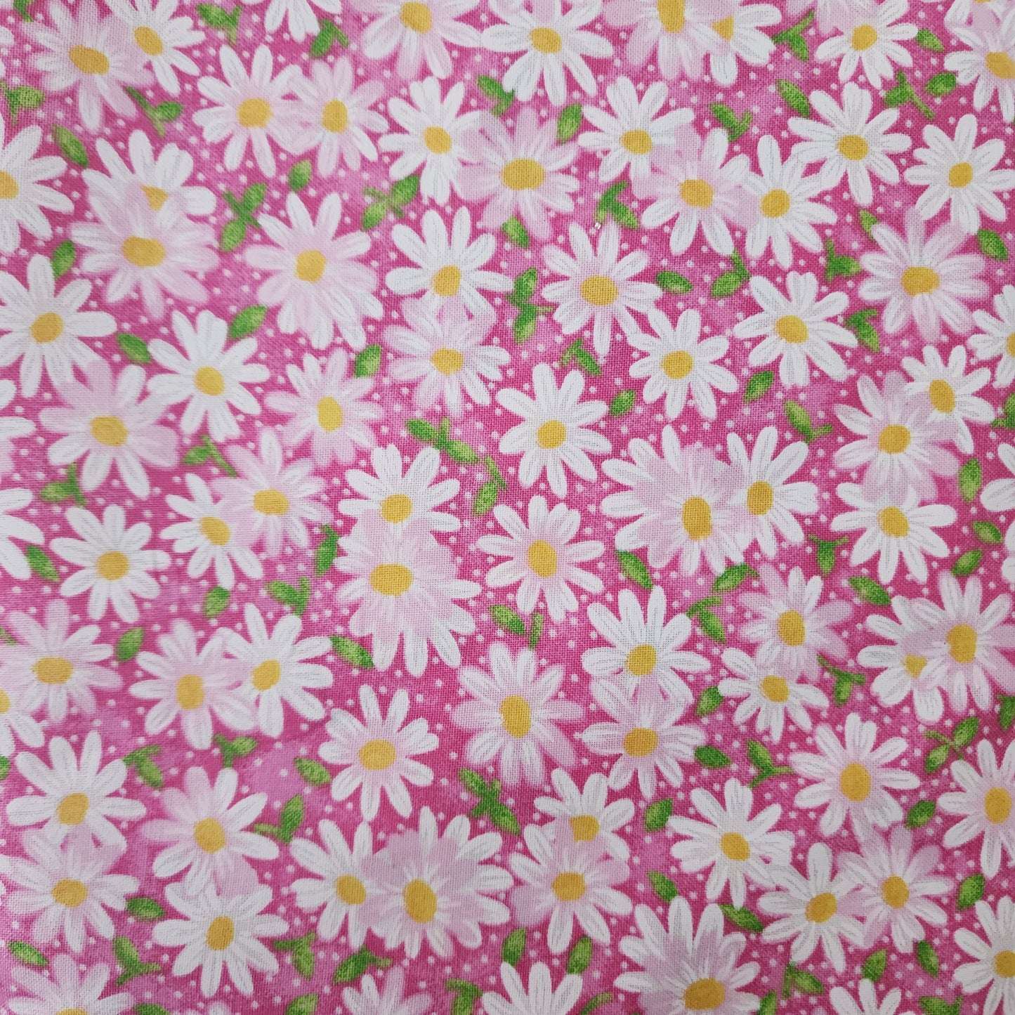 Daisy Dream Pink